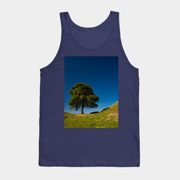 The Sycamore Gap Tree, Hadrian's Wall Tank Top by BrianPShaw